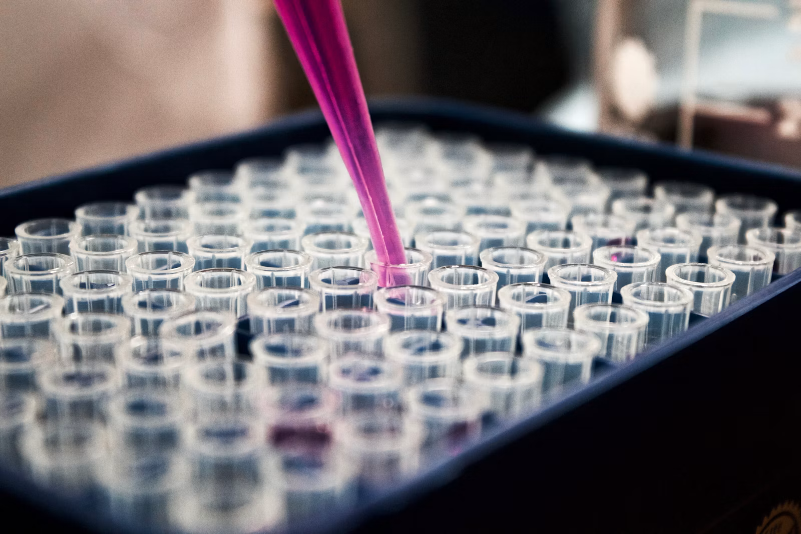 Stem Cell Therapy: What You Need to Know About Regenerative Medicine